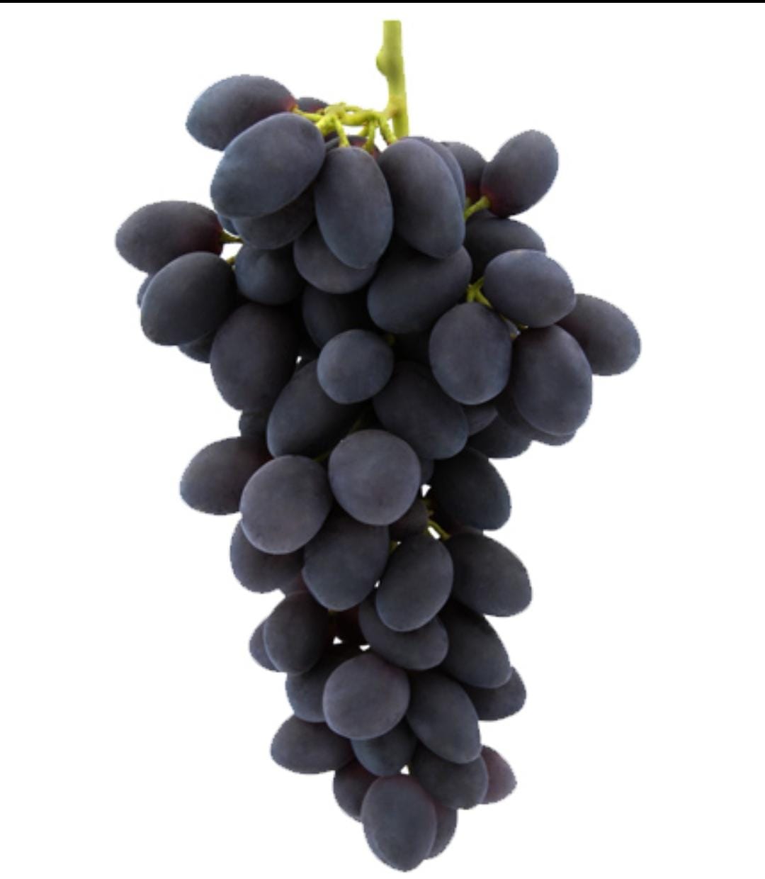 Previous season grapes