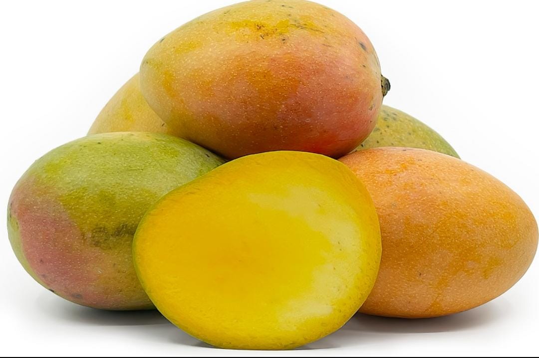Next season mangoes