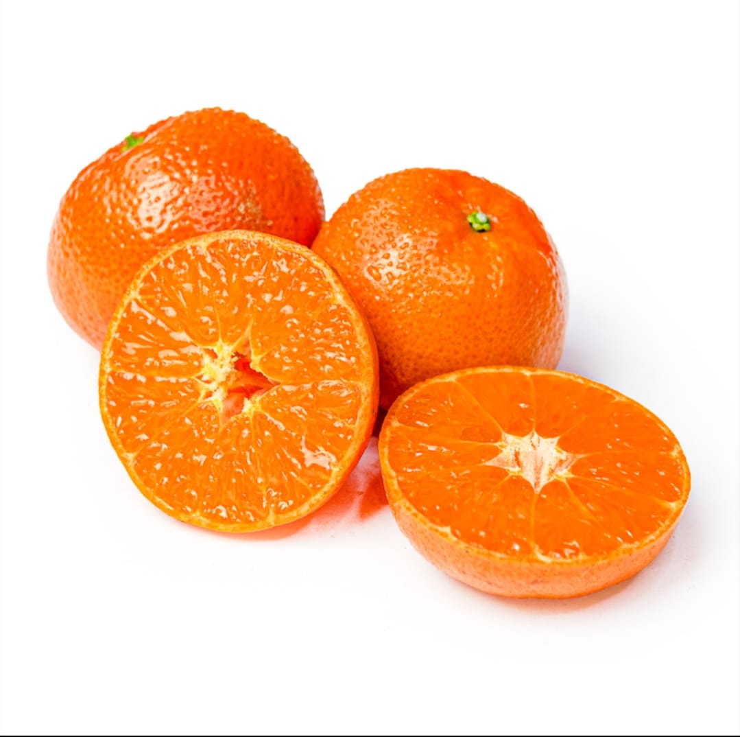Current season oranges